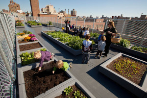 Children at the 2,400-square-foot Fifth Street Farm, a garden atop three East Village schools Photo: Ángel Franco Source: The New York Times