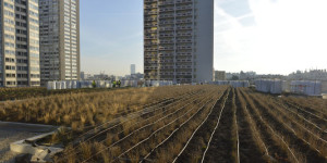 Centre commercial Beaugrenelle, dans le 15e arrondissement de Paris Photo: L. Zylberman (Graphix-Images) Source: www.lemonde.fr