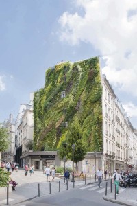 Le nouveau mur rue d'Aboukir : 25 mètres de haut, 7600 végétaux , 127 espèces Image: Yann Monel Source: www.lemoniteur.fr