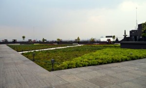 A garden on the roof of the environment secretary's air-monitoring labs in Mexico City Source: www.theguardian.com