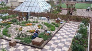The plot thickens at Tokyo train stations, as passengers grow on the go with these rooftop garden allotments Photo: Soradofarm Source: www.treehugger.com