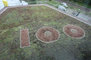 The roof of The Big Yellow Self Storage Companys warehouse in Brentford, on which thousands of poppy seeds have been planted in the shape of a giant '100' to mark the centenary of the outbreak of the First World War Source: www.getwestlondon.co.uk