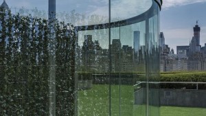 'Hedge Two-Way Mirror Walkabout' sits on the roof of the Metropolitan Museum in New York Photo: Hyle Skopitz Source: www.ft.com