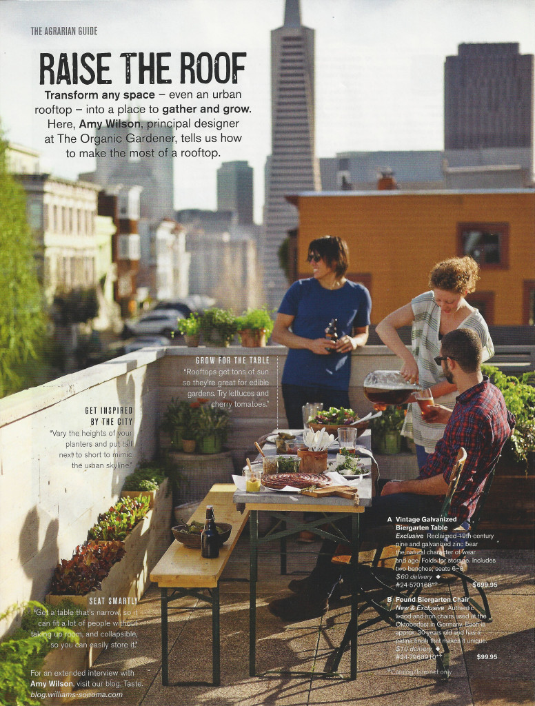 Williams-Sonoma's "Agrarian Guide" from their early Summer 2014 catalogue